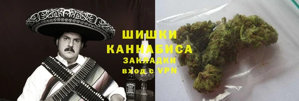 индика Белоозёрский